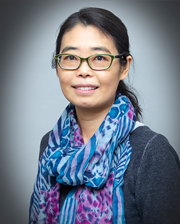Headshot of Professor Zhang