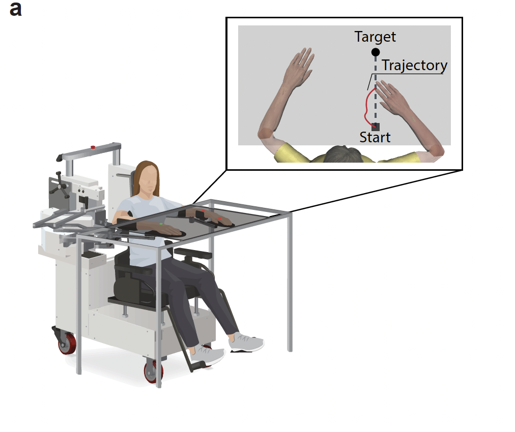 participant moving arm forward