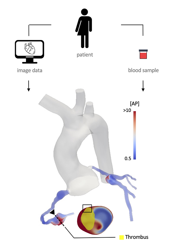 Technical graphic showing image data and blood sample from patient